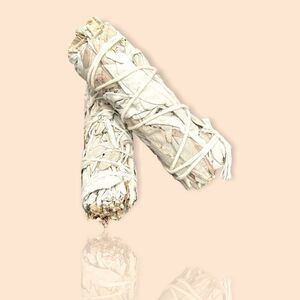 French dried SAGE pair of sticks wrapped in twine